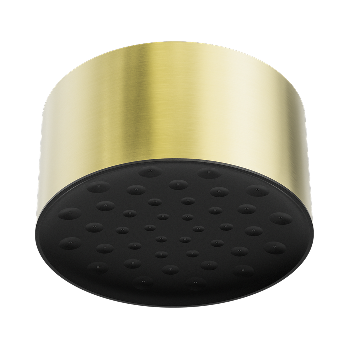 Serenity Ceiling Shower Head Brushed Gold