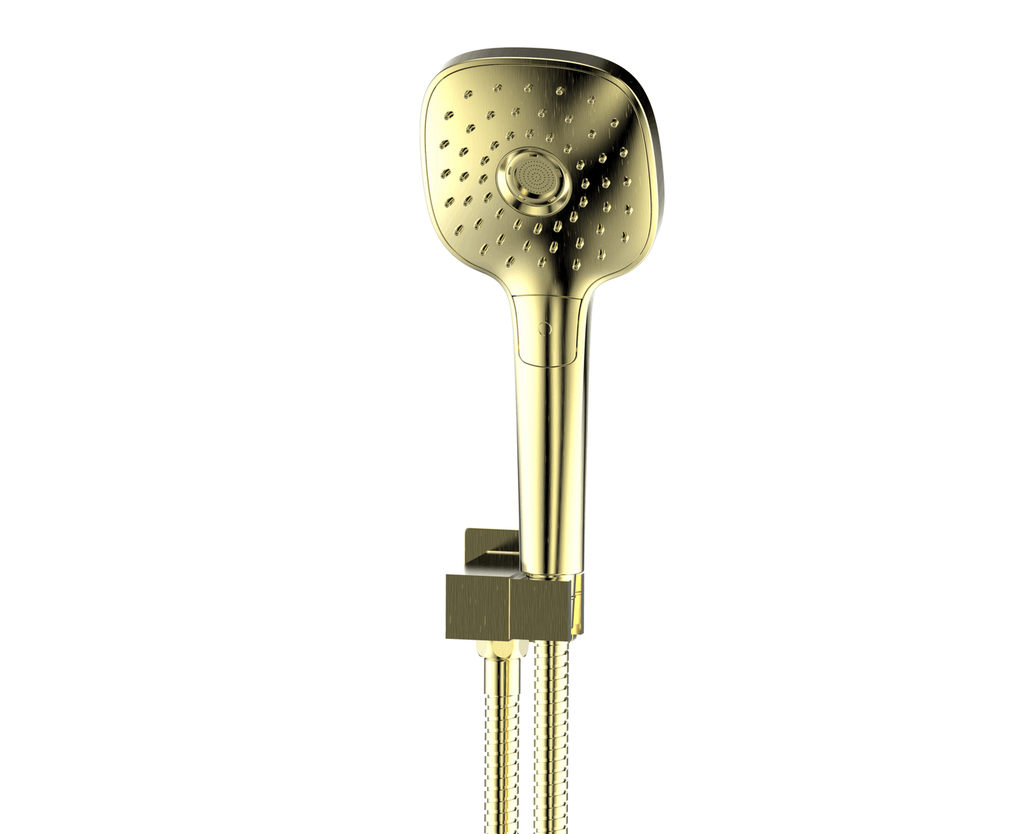 Corban Hand Shower - Pvd Brushed Brass