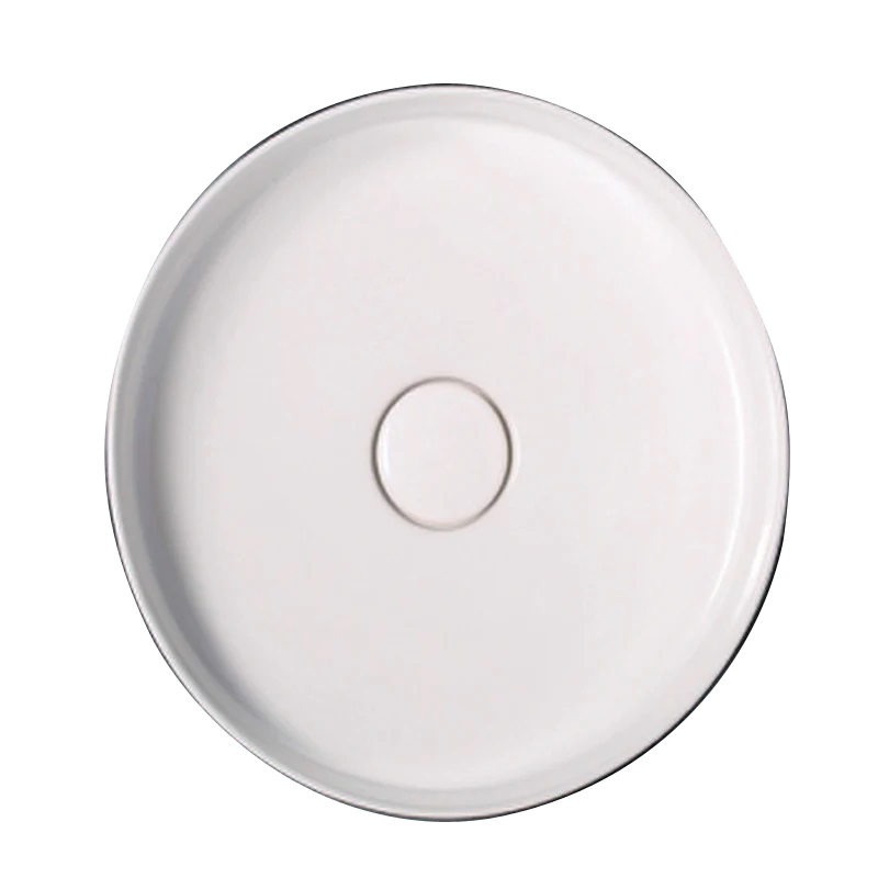 Camellia (W420 , D420 , H100) - Reno Spares