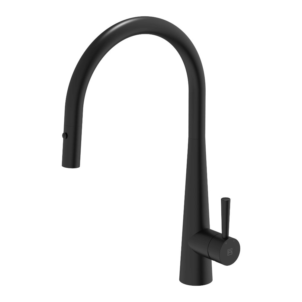 304 Gooseneck Pull Out with Dual Spray Function Kitchen Mixer