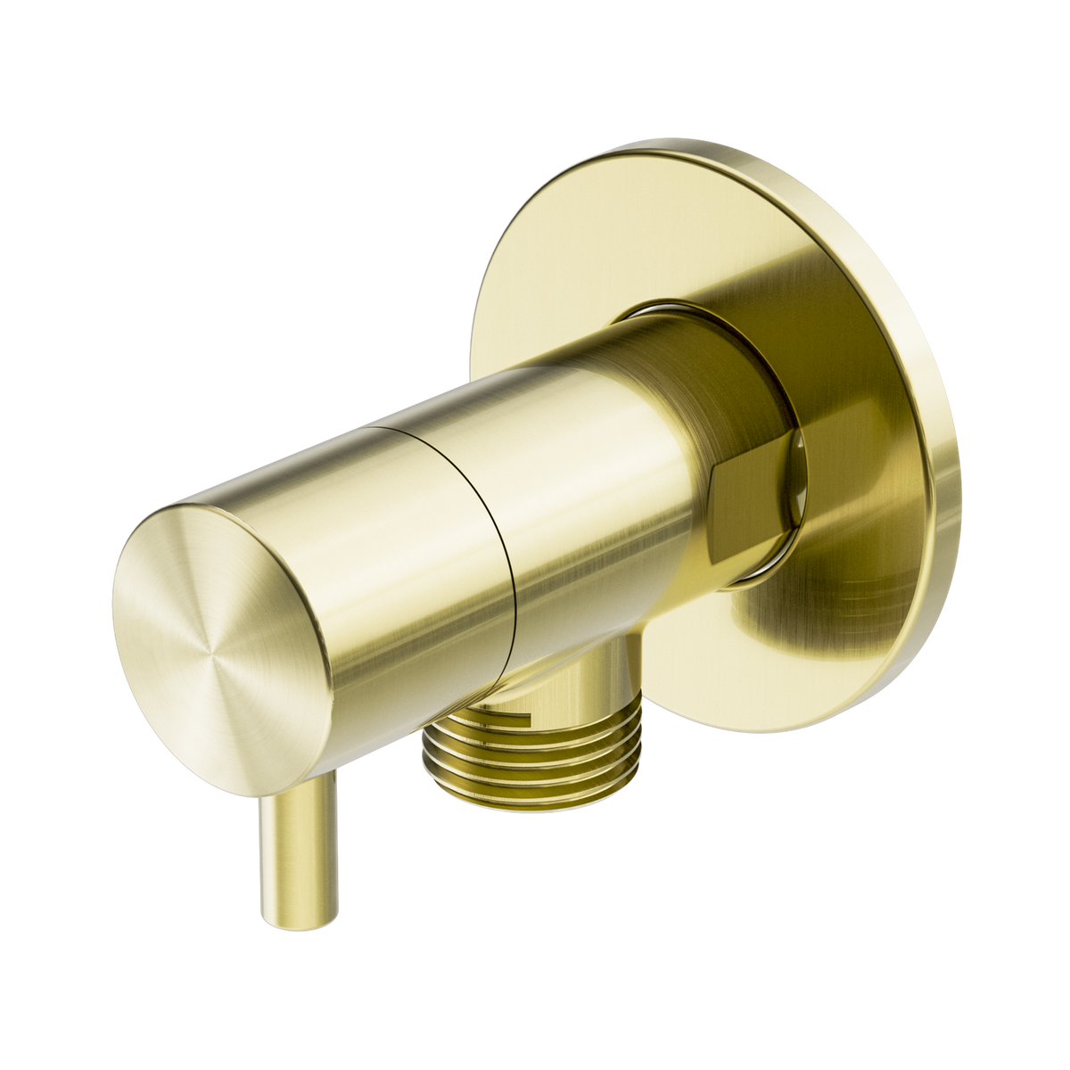 Mini Cistern Stop Brushed Gold