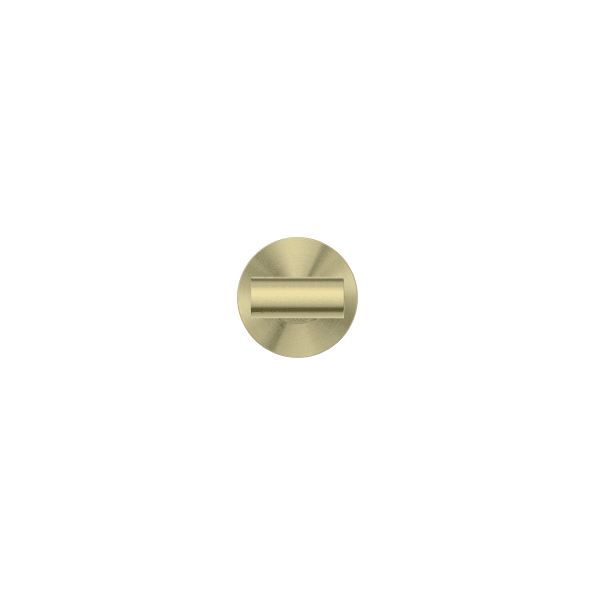 #colour_brushed gold