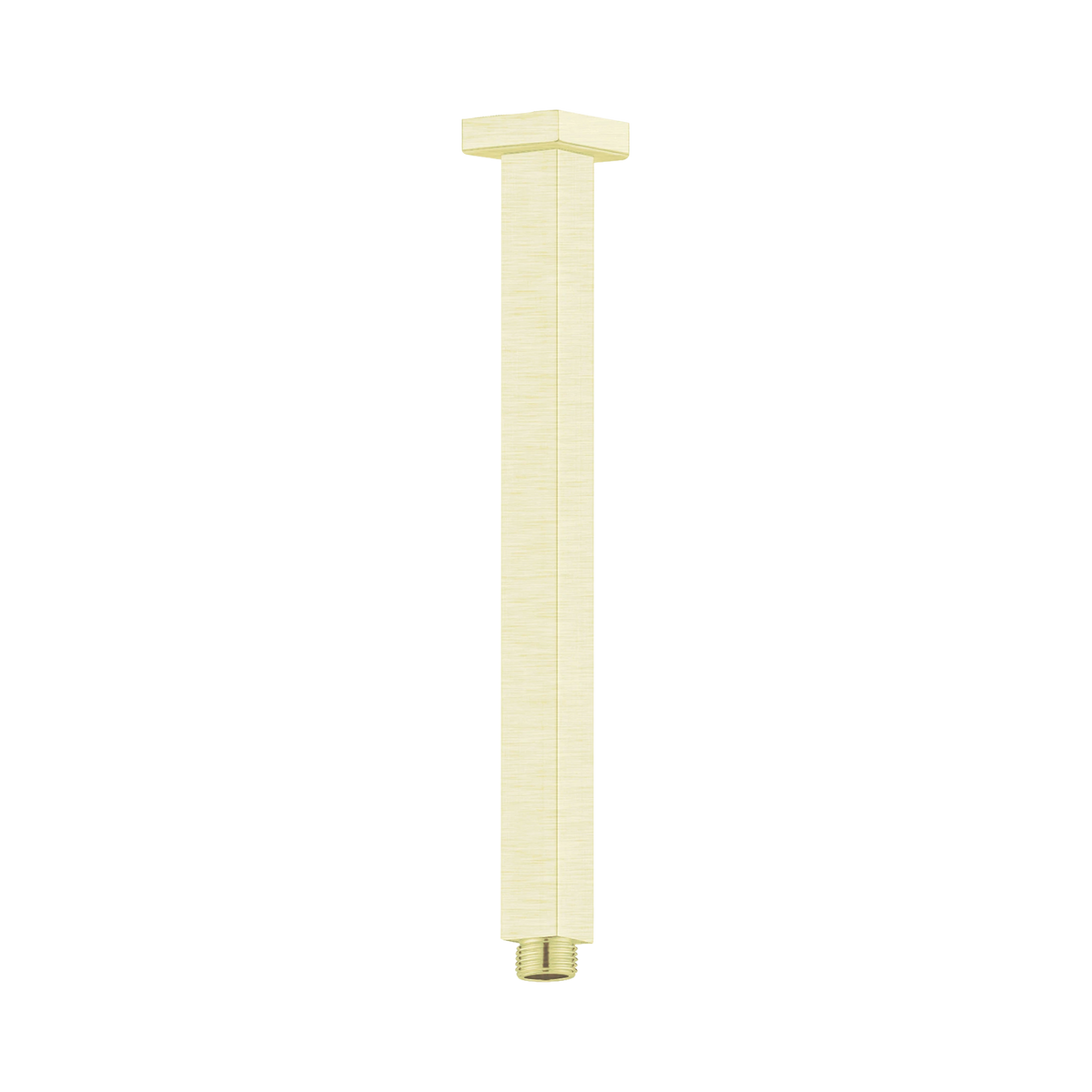 Square Ceiling Arm 300mm Length Brushed Gold