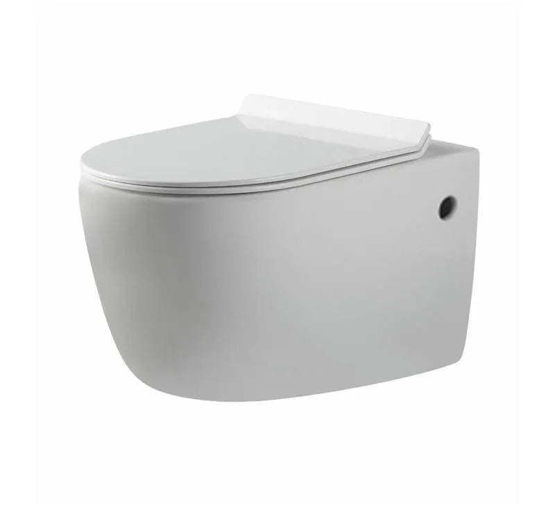 Alexander Rimless Nanoglaze Wall Hung Pan