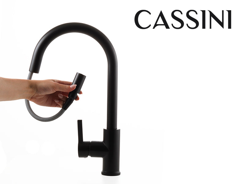 Cassini Goose Neck Pull Out Sink Mixer