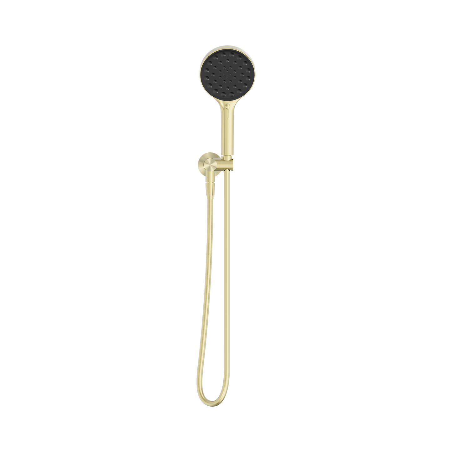 Serenity Hand Held Shower Brushed Gold