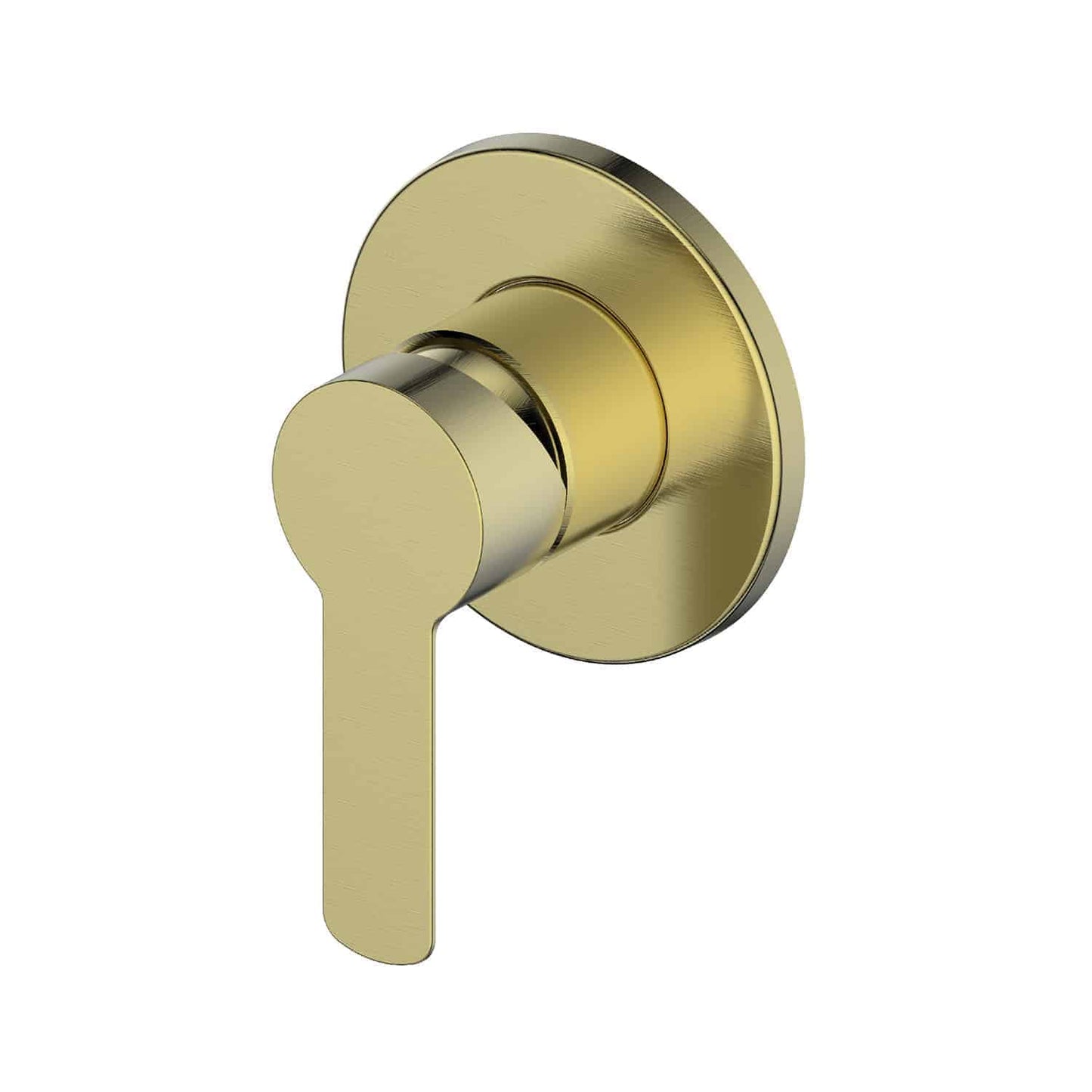 Astro II Shower/Wall Mixer Large Round Plate (Multiple Finish Options)