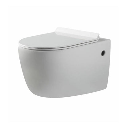Alexander Rimless Nanoglaze Wall Hung Pan