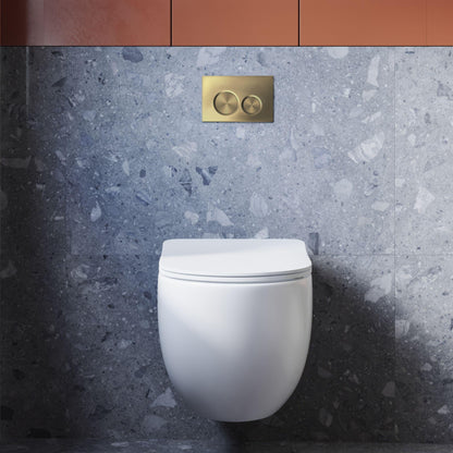 BELBAGNO ABS IN WALL CIRCLE BUTTON FLUSH PLATES 256MM BRUSHED
