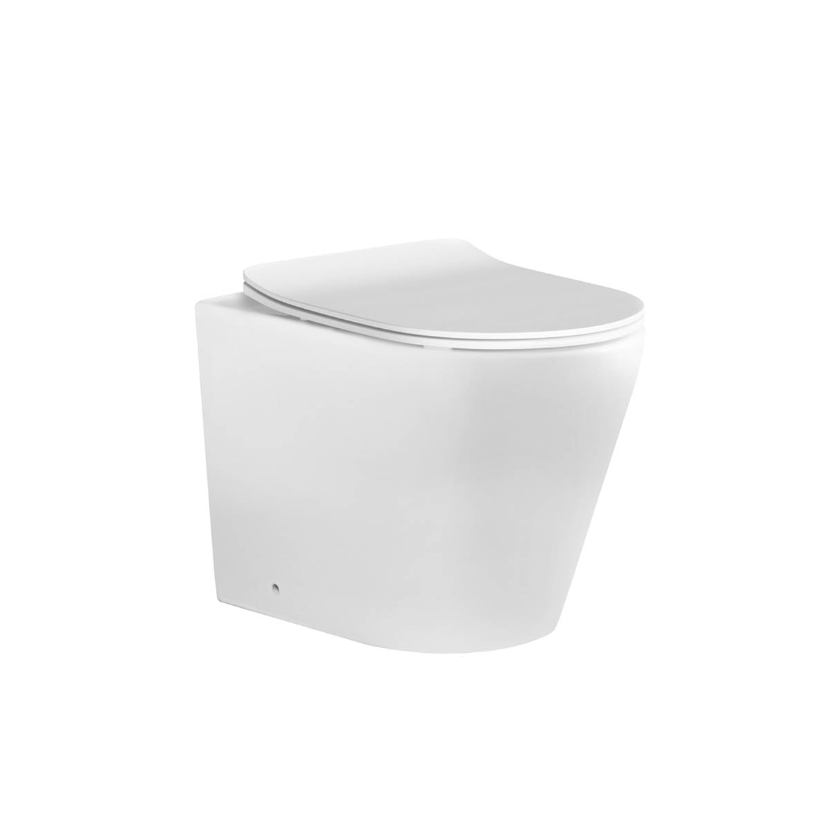 Flay Rimless Nanoglaze Wall Hung Pan