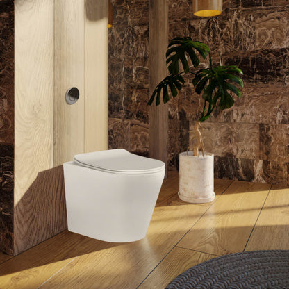 Flay Rimless Nanoglaze Wall Hung Pan