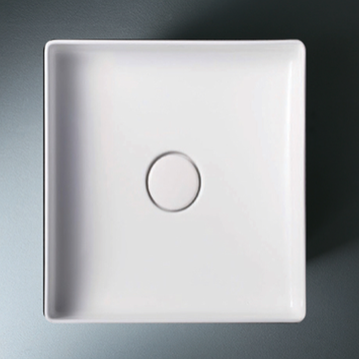 CAMELLIA (W400 , D400 , H100)