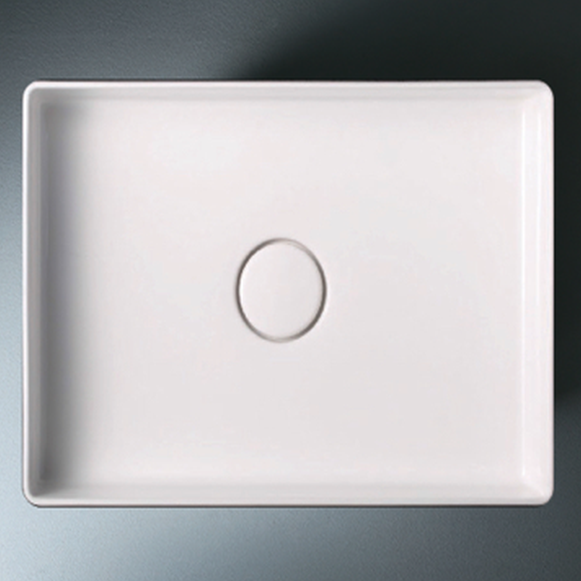 CAMELIA (W500 , D350 , H100)