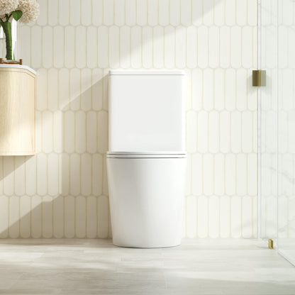 DIANA Tornado Rimless Back To Wall Toilet Suite