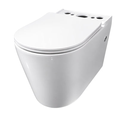 INSPIRE ALZANO RIMLESS BACK-TO-WALL TOILET SUITE AND SPA SMART BIDET SEAT WITH REMOTE CONTROL D-SHAPE