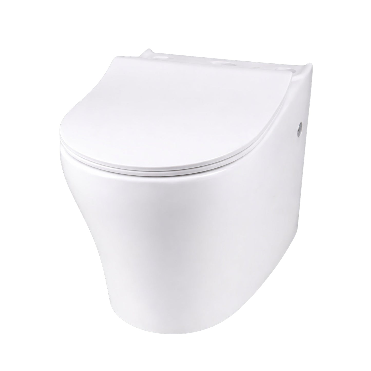 INSPIRE ZENITTI BACK-TO-WALL TOILET SUITE AND SPA SMART BIDET SEAT WITH REMOTE CONTROL D-SHAPE