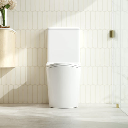FIFA Tornado Rimless Back To Wall Toilet Suite