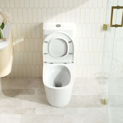 FIFA Tornado Rimless Back To Wall Toilet Suite