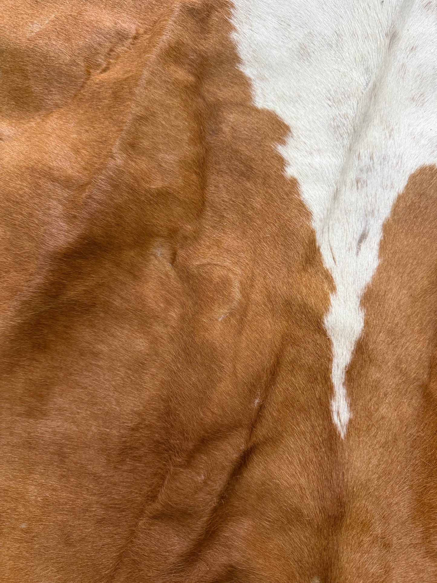 Genuine Herron Cowhide Rug