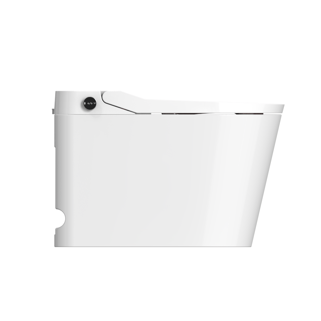 Kyoto Intelligent Toilet