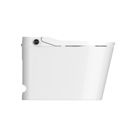 Kyoto Intelligent Toilet