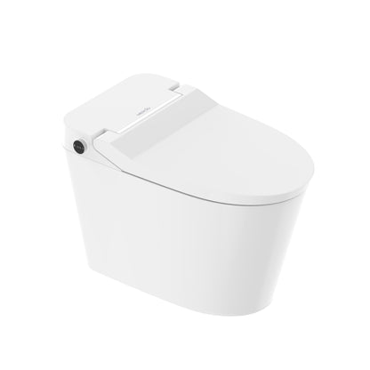 Kyoto Intelligent Toilet