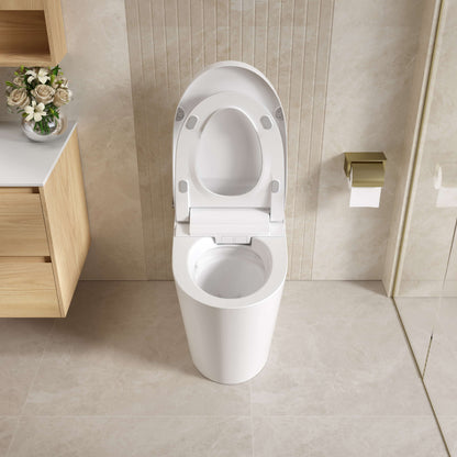 Kyoto Intelligent Toilet