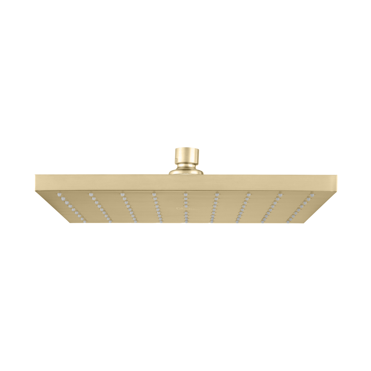 Oliveri Monaco Shower Rose SQ CG
