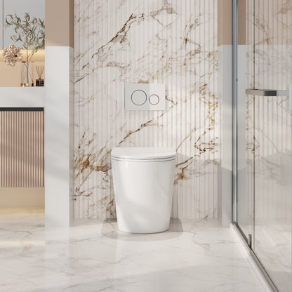 Norton99 Tornado Rimless Wall-Faced Floor Pan