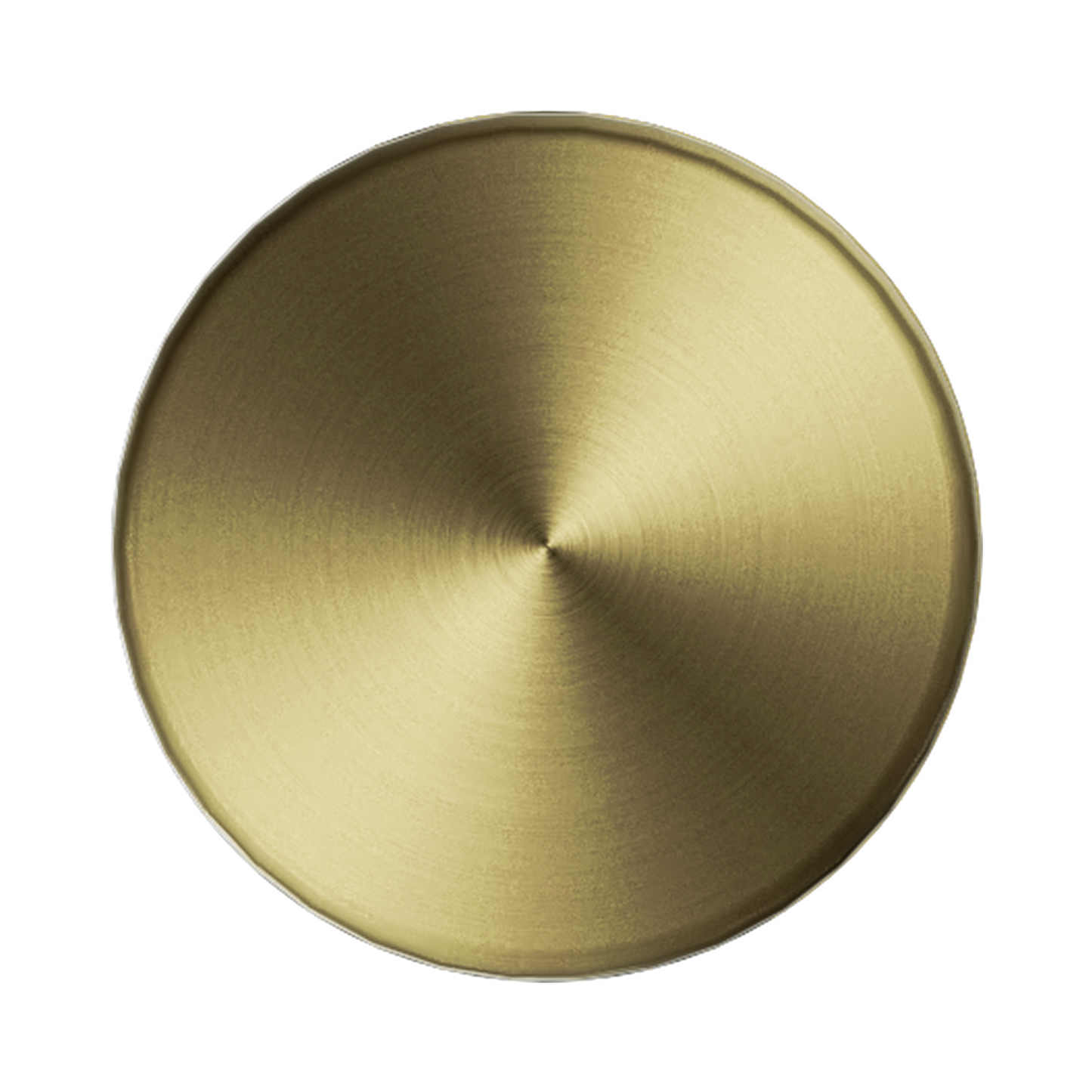 New Mecca Robe Hook Brushed Gold