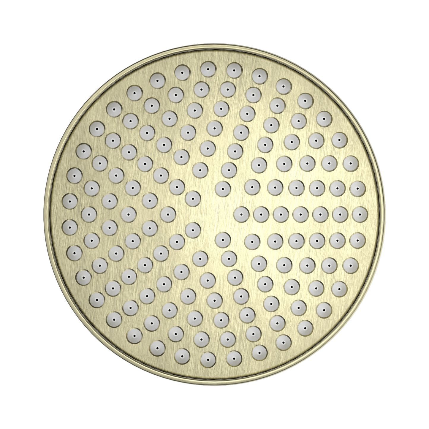 York 200mm Shower Head Aged Brass