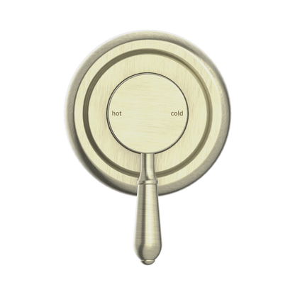 York Shower Mixer With Metal Lever Aged Brass