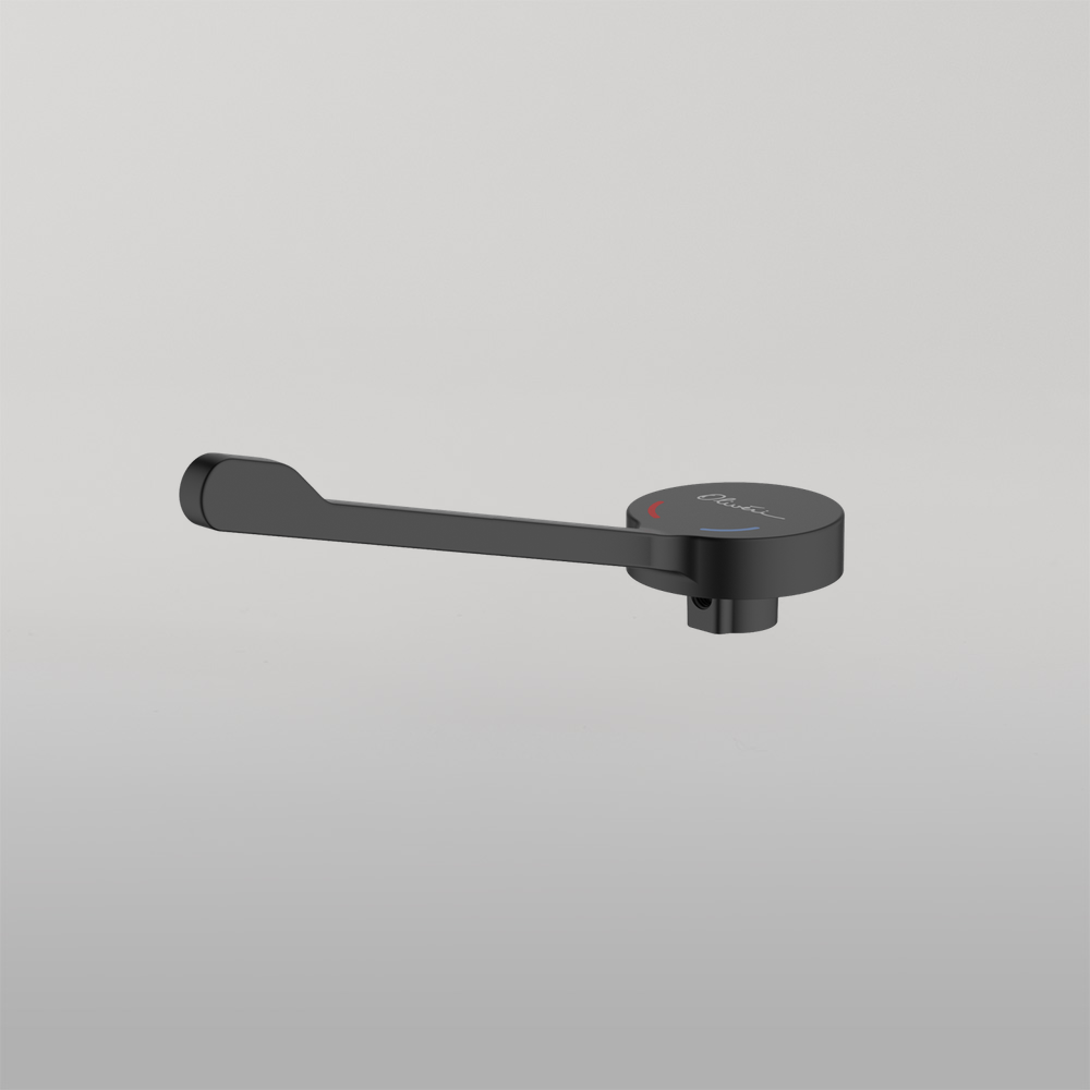 Oliveri Venice Care Handle Pin Lever For Wall Mixers Matte Black