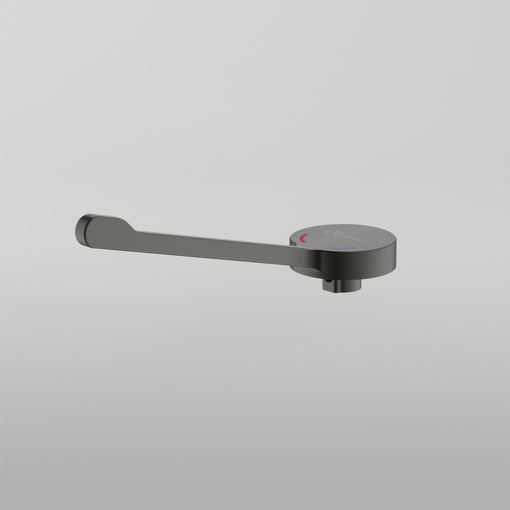 Oliveri Venice Care Handle Pin Lever For Wall Mixers Gunmetal