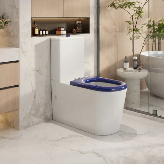 PANI CARE BACK TO WALL TOILET