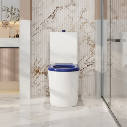 PANI CARE BACK TO WALL TOILET