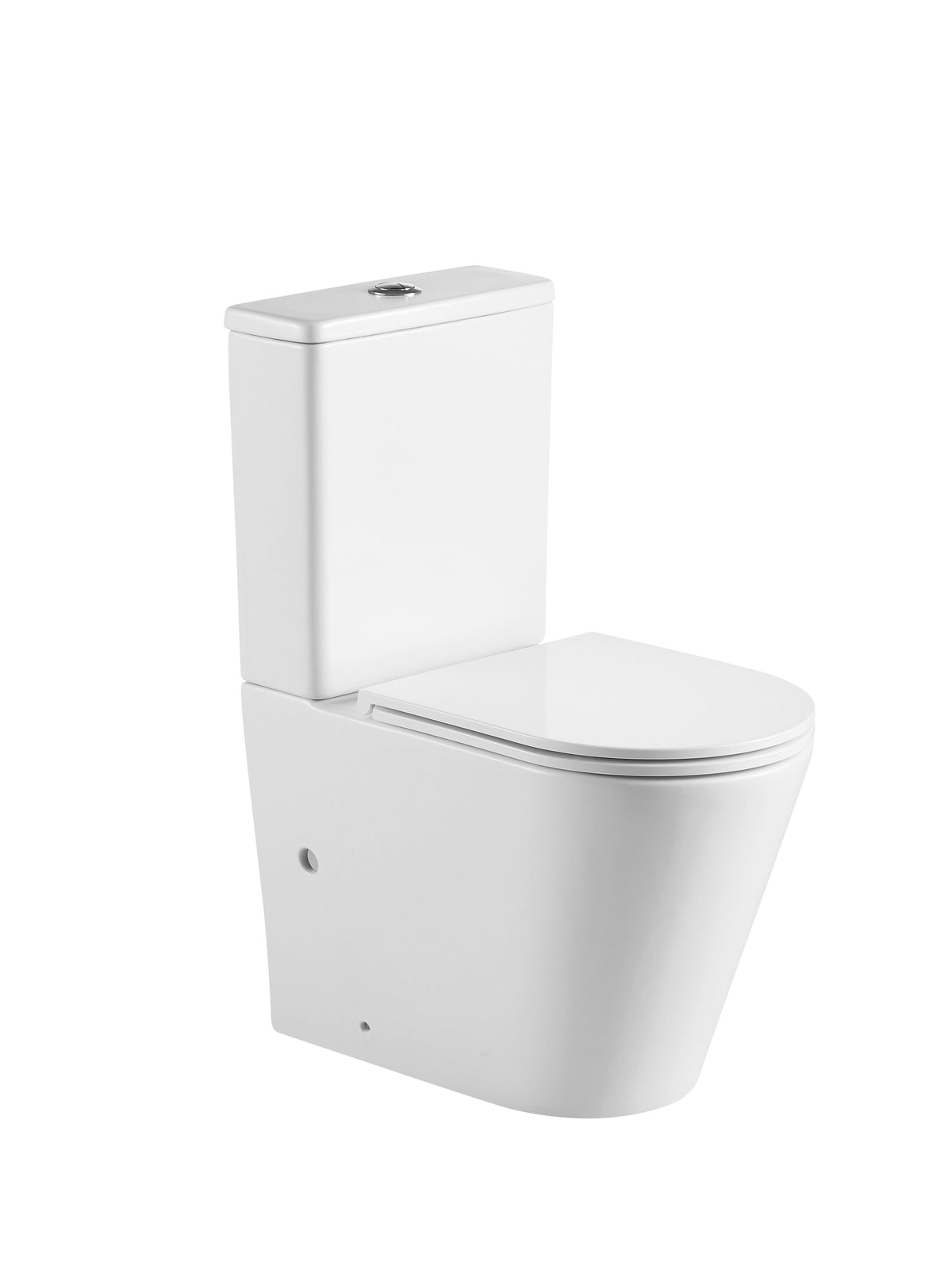 Pani Back-to-Wall Toilet Suite