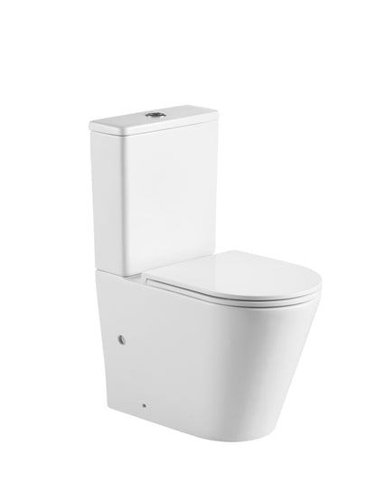 Pani Back-to-Wall Toilet Suite