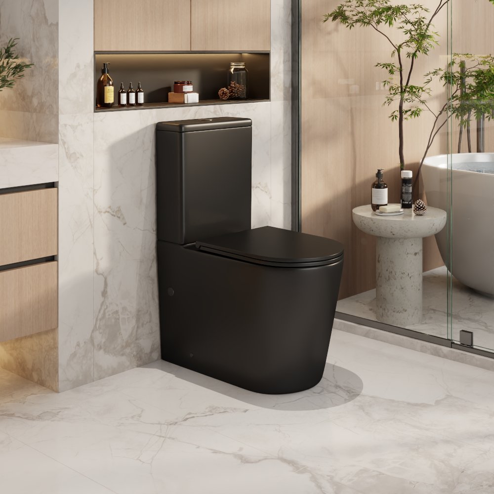 Pani Back-to-Wall Toilet Suite