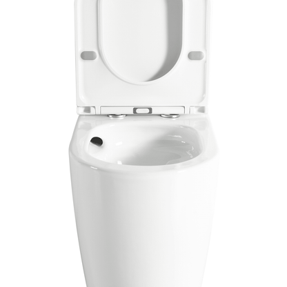 Walton Tornado Rimless Back-to-Wall Toilet Suite