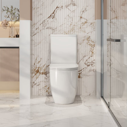 Walton Tornado Rimless Back-to-Wall Toilet Suite