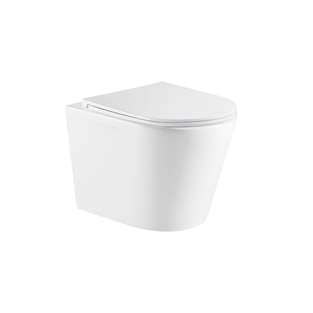 Zara66 Wall-Hung Pan (+ 224.049.00.1)