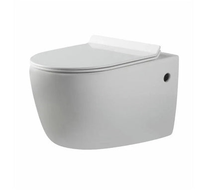 Alexander Rimless Nanoglaze Wall Hung Pan