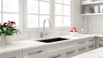 Cuisine 81 x 48 Inset / Undermount Fine Fireclay Matte Black Sink