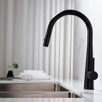 Dolce Pull Out Kitchen Mixer