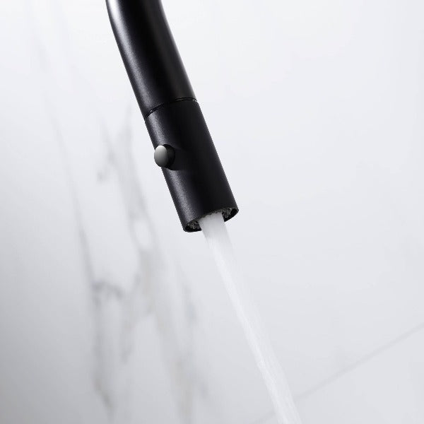 Dolce Pull Out Kitchen Mixer