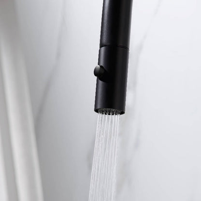 Dolce Pull Out Kitchen Mixer