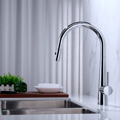 Dolce Pull Out Kitchen Mixer