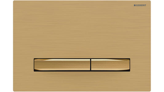 Sigma50 Dual Flush Button Brass Brushed with Brass Button