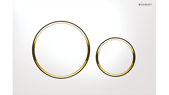Sigma20 Dual Flush Button Round White With Gold Trim